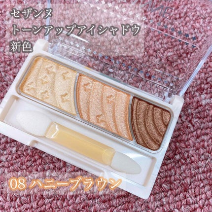 トーンアップアイシャドウ/CEZANNE/アイシャドウパレットを使ったクチコミ(1枚目)