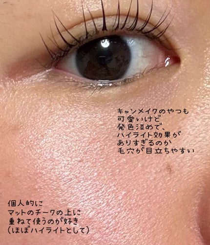 ネーミング フラッフィーパウダーブラッシュ/NAMING./パウダーチークを使ったクチコミ(4枚目)