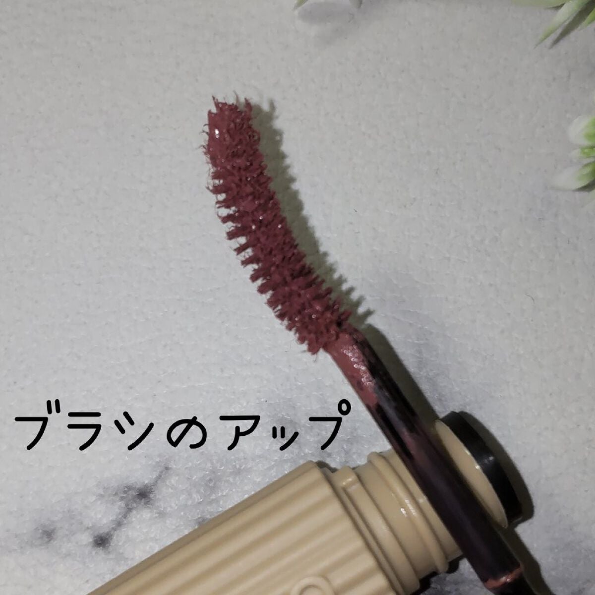 パーマネントカール マスカラ WP(ロング)/FASIO/マスカラを使ったクチコミ(3枚目)