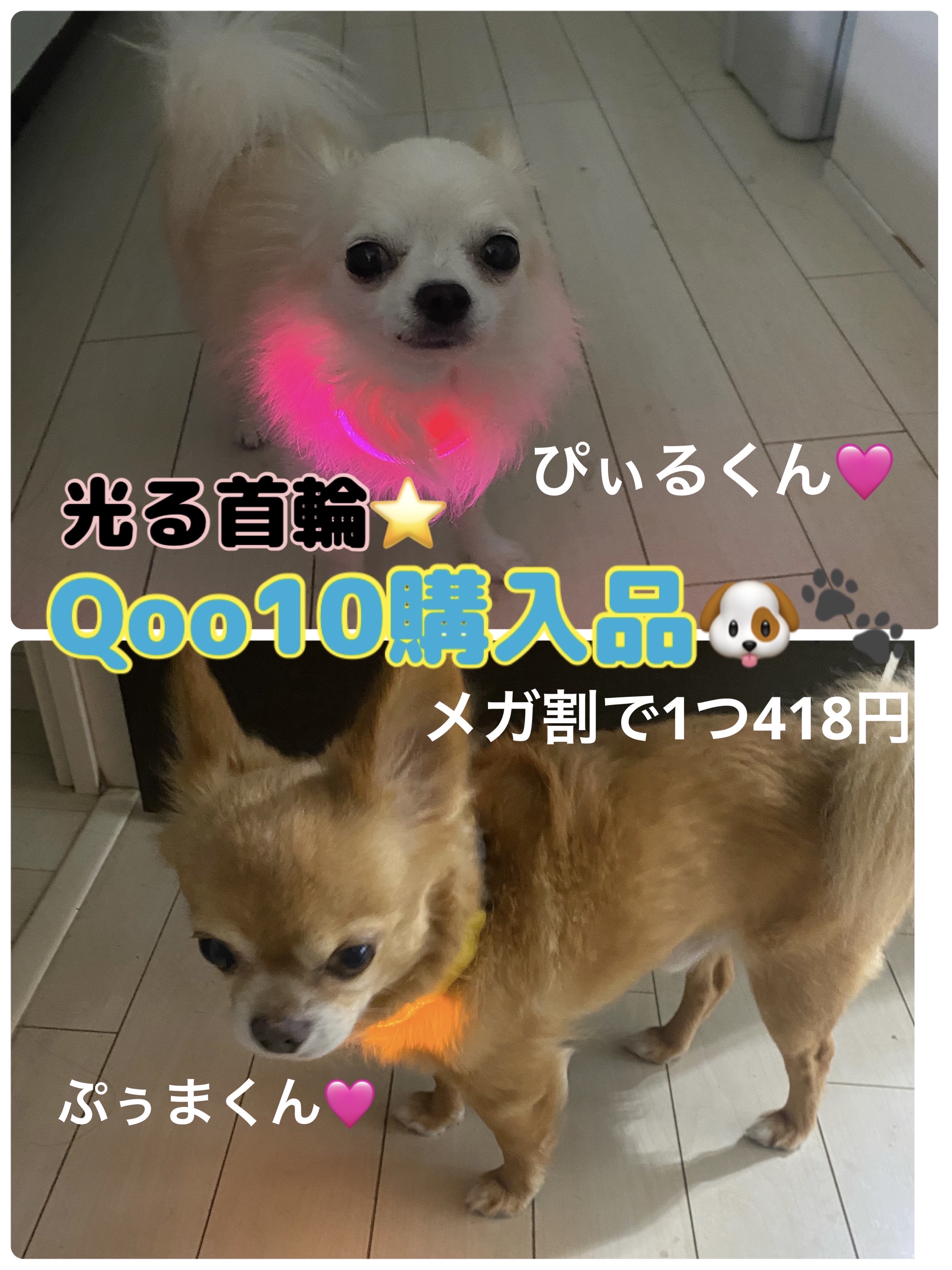 光る首輪/Qoo10/その他を使ったクチコミ（1枚目）