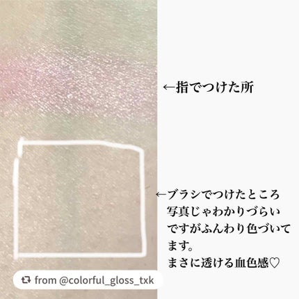 フォギーオンチークス N/Visée/パウダーチークを使ったクチコミ(3枚目)