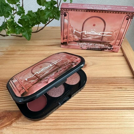 コネクト イン カラー アイシャドウ パレット × 6/M・A・C/アイシャドウパレットを使ったクチコミ(3枚目)