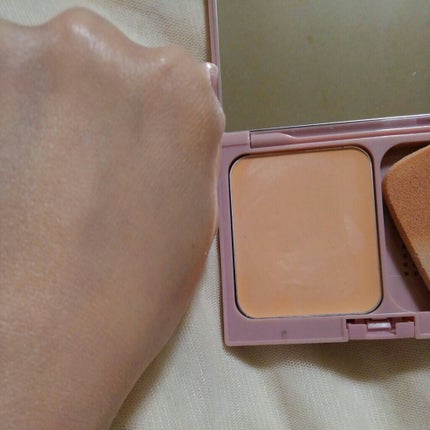 カバーパーフェクション フィクシーラー/the SAEM/リキッドコンシーラーを使ったクチコミ(2枚目)