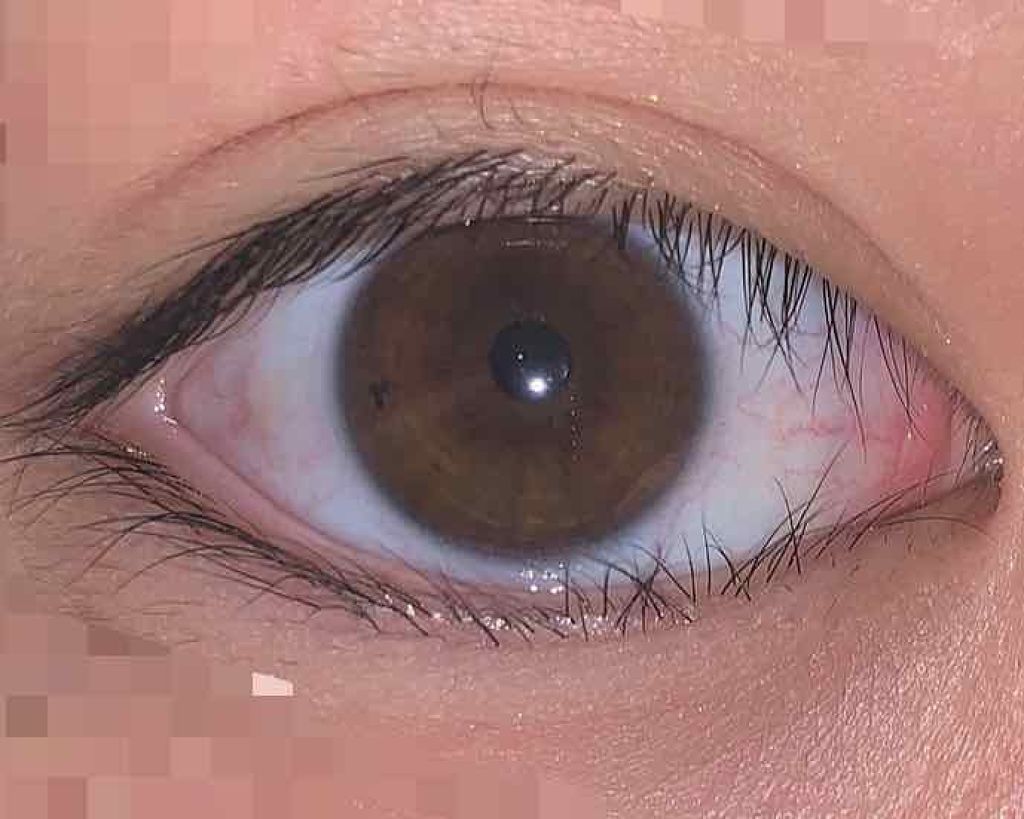 【旧品】パーフェクトスタイリストアイズ/キャンメイク/アイシャドウパレットを使ったクチコミ（2枚目）