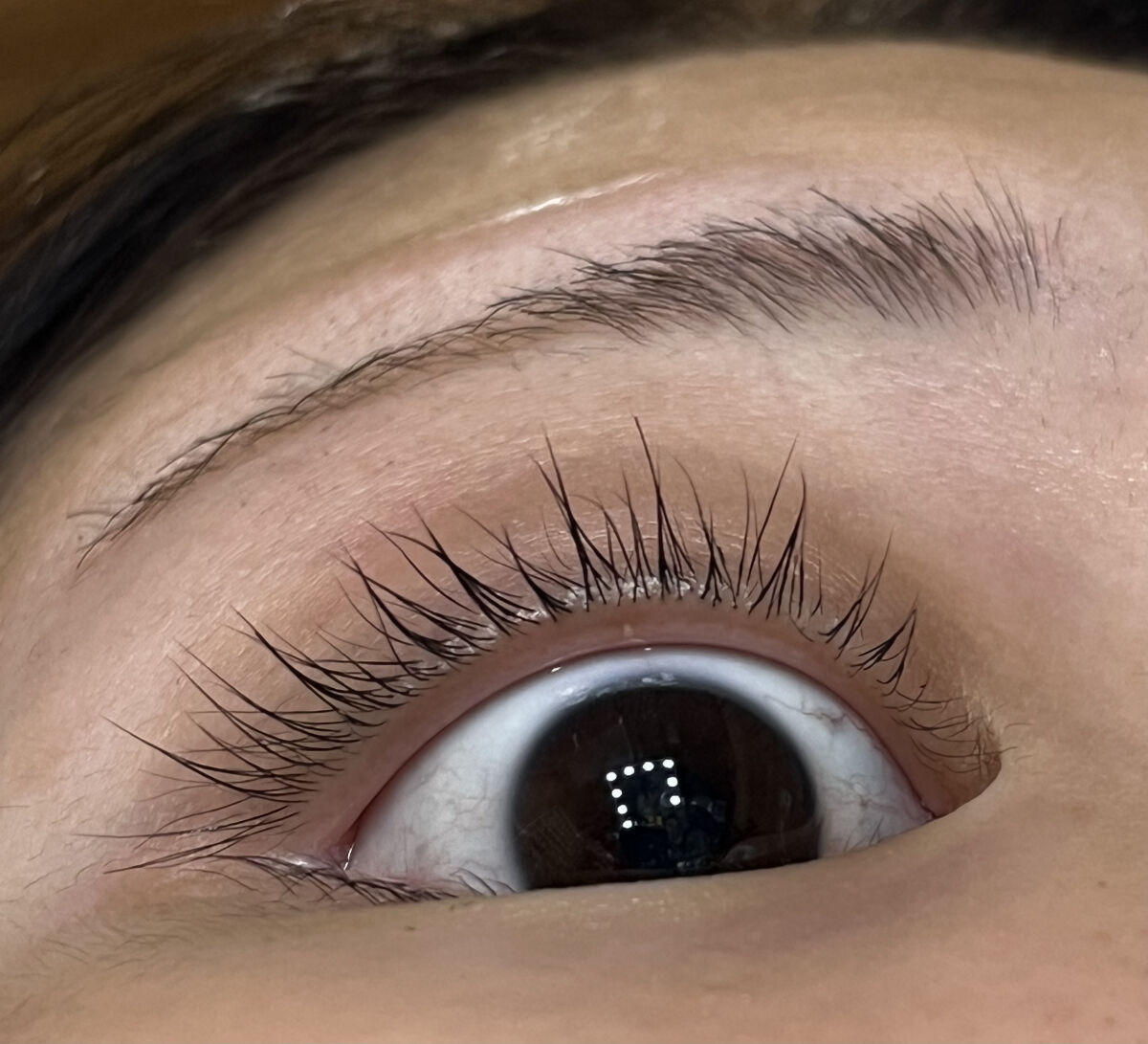 ウォータリング アイラッシュセラム/ヒロインメイク/まつげ美容液を使ったクチコミ（3枚目）