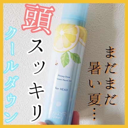 ワンダーハニー フローズンヘッドジェット/VECUA Honey/頭皮ローションを使ったクチコミ(1枚目)