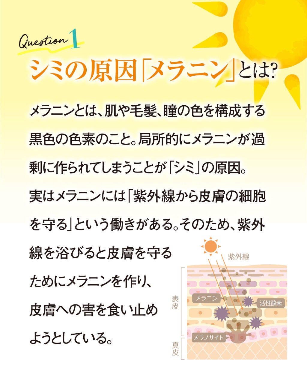 いつかの石けん/水橋保寿堂製薬/洗顔石鹸を使ったクチコミ(3枚目)
