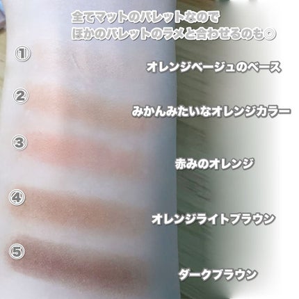 パーフェクトマルチアイズ/キャンメイク/アイシャドウパレットを使ったクチコミ(3枚目)