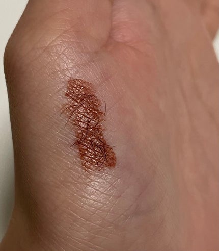 ラッシュエキスパンダー ロングロングロング EX/MAJOLICA MAJORCA/マスカラを使ったクチコミ(7枚目)