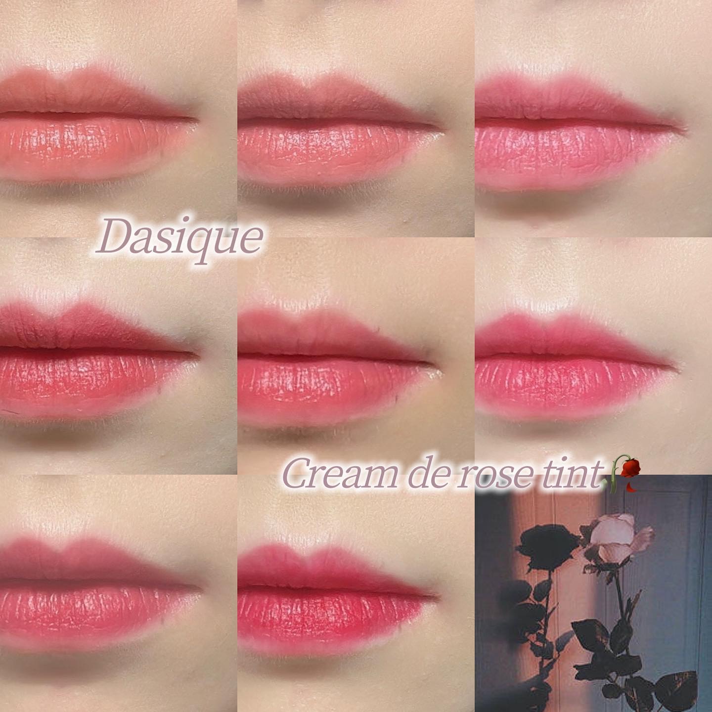 クリームドゥローズティント/dasique/リップティントを使ったクチコミ（1枚目）