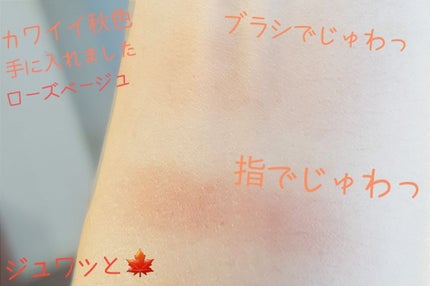 ナチュラル チークN/CEZANNE/パウダーチークを使ったクチコミ(1枚目)