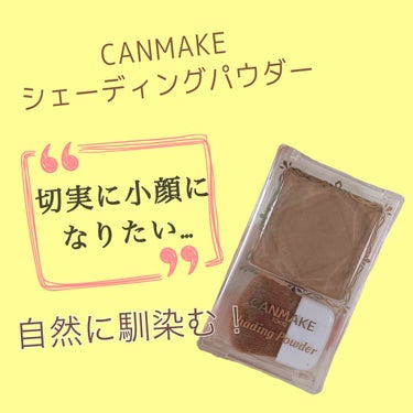 CANMAKE シェーディングパウダー０１  ￥680


なんとなーくシェーディング欲しさに買ったものです！
自然な色で付属のブラシも良いので使いやすいです！

これ以外持ってないこともあるんですが、