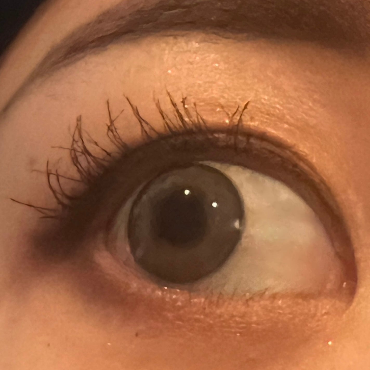 マイカスタムマスカラ /KATE/マスカラを使ったクチコミ(2枚目)