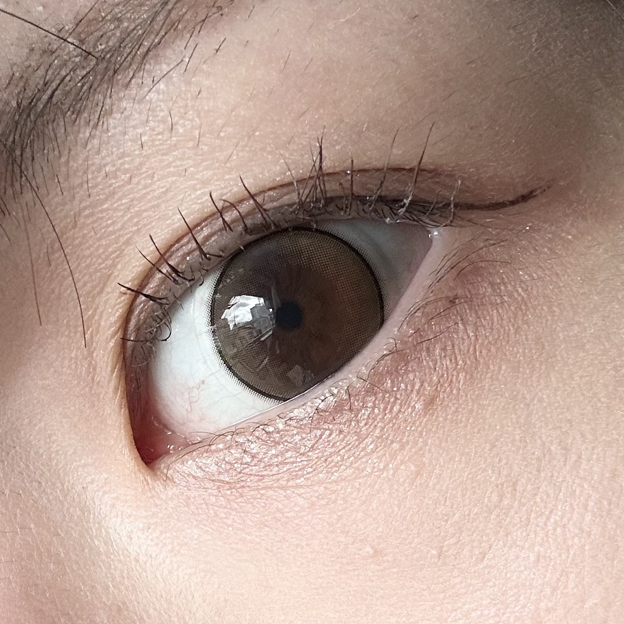 チーク ポップ/CLINIQUE/パウダーチークを使ったクチコミ（2枚目）