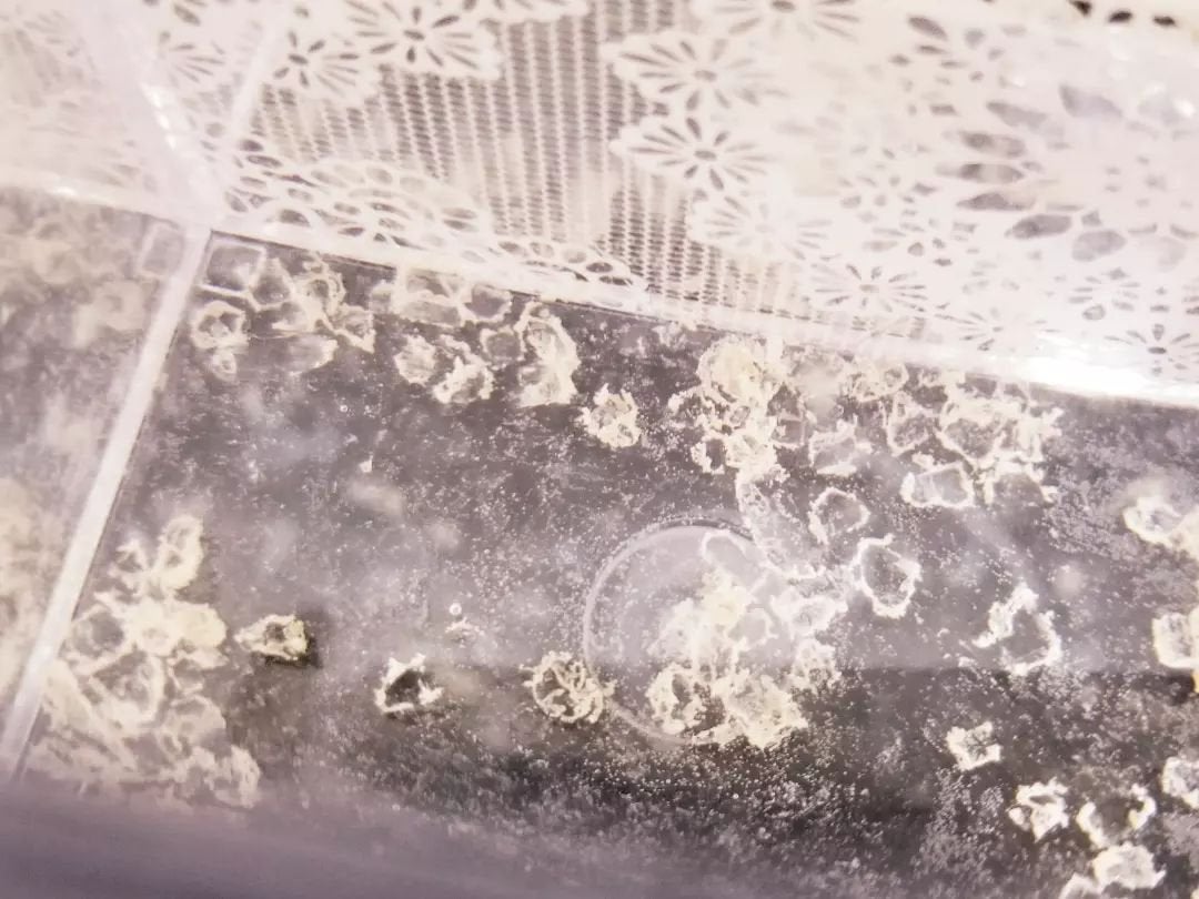 クリスタルバスソルト アンバー/KRAACH/入浴剤を使ったクチコミ(5枚目)