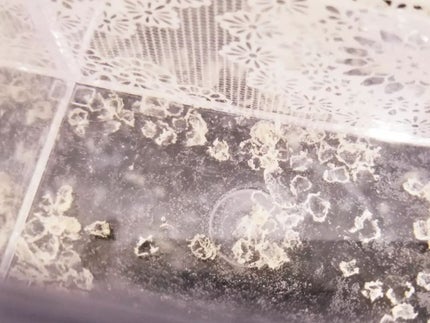 クリスタルバスソルト アンバー/KRAACH/入浴剤を使ったクチコミ(5枚目)