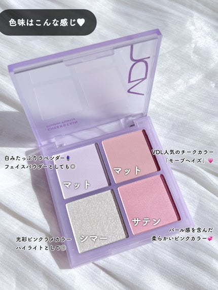 VDL チークステイン ブラッシャー パレット/VDL/パウダーチークを使ったクチコミ(3枚目)