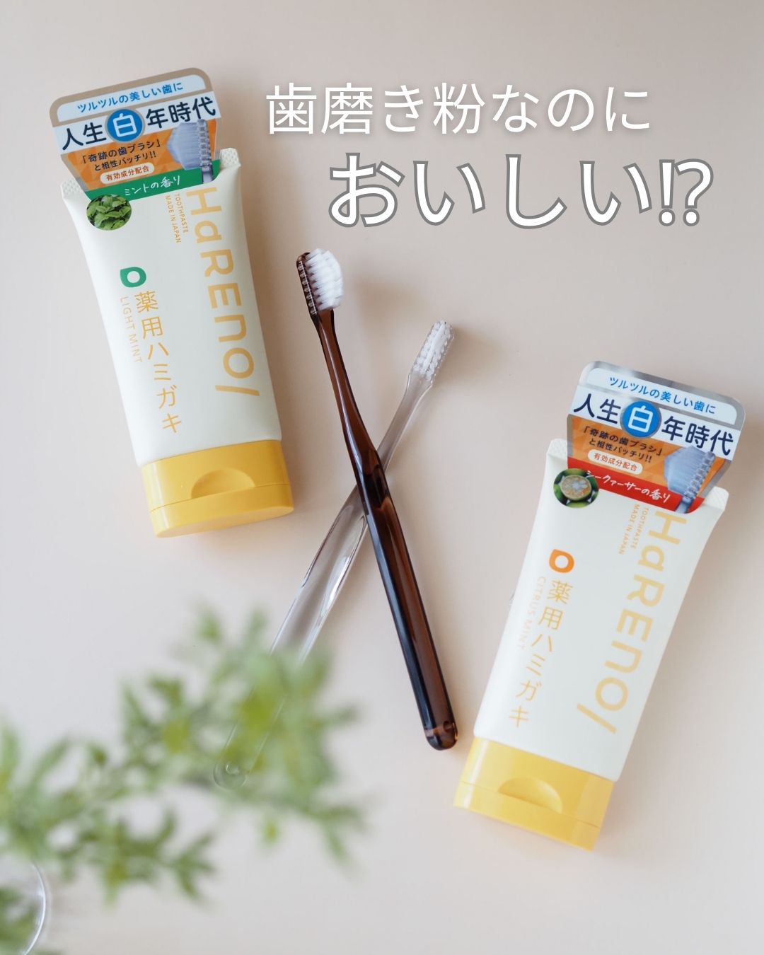 HaRENO 奇跡の歯ブラシ/HaRENO/歯ブラシを使ったクチコミ（1枚目）