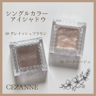 シングルカラーアイシャドウ/CEZANNE/単色アイシャドウを使ったクチコミ（1枚目）