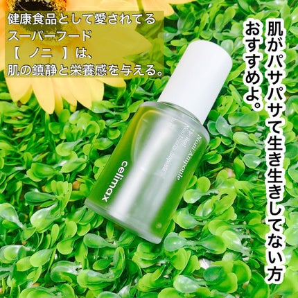 Noni Ampule/celimax/美容液を使ったクチコミ(3枚目)