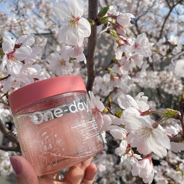 One-day's you コラーゲンハイドロゲルアイパッチのクチコミ「今年も近所の桜が色付いてきました🌸
コラーゲン✖️エスターバニーという可愛すぎコラボ（写真1）.....」（1枚目）
