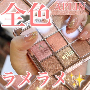 ワンピックアイシャドウパレット/APLIN/アイシャドウパレットを使ったクチコミ（1枚目）