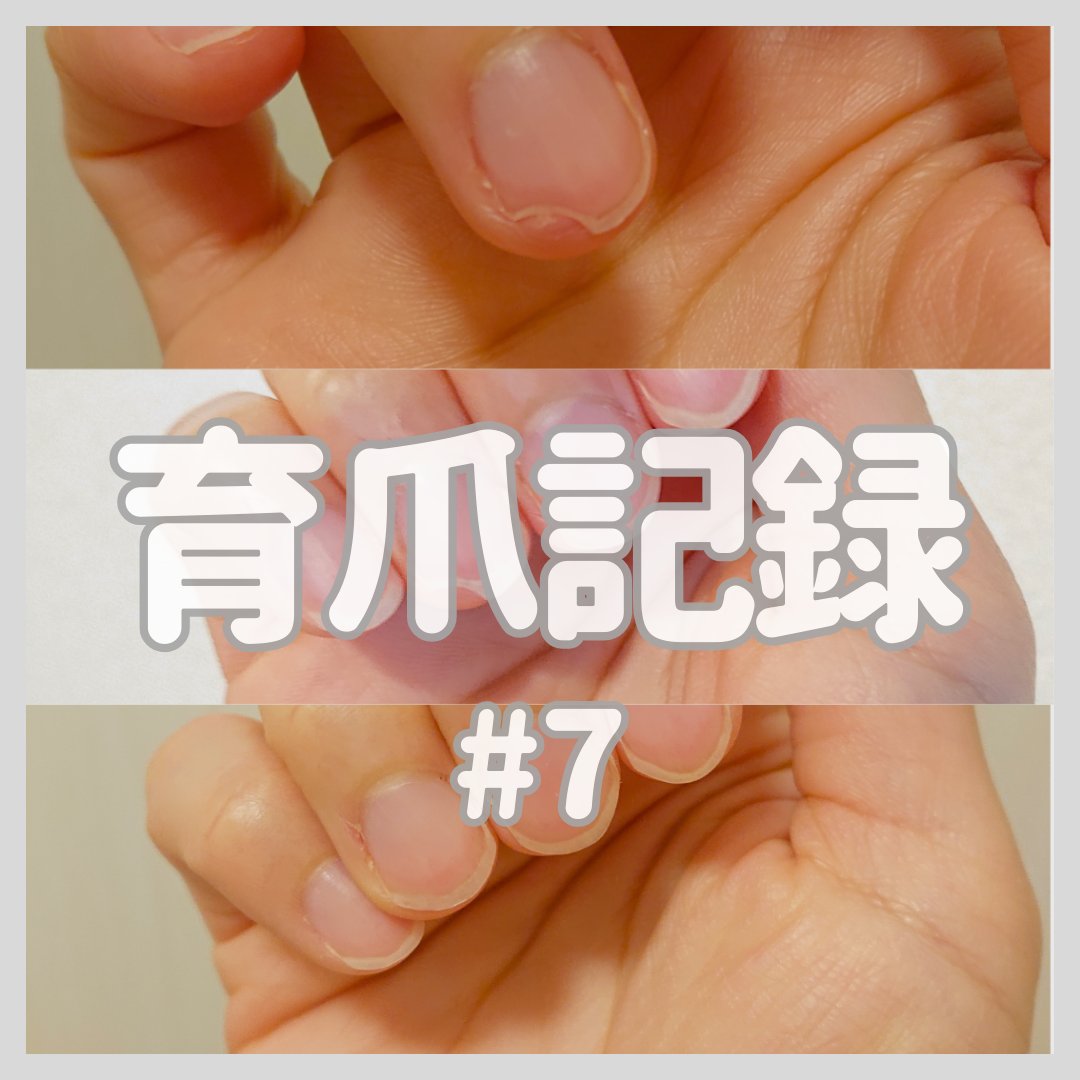 シア ネイルオイル 7.5ml【旧】/L'OCCITANE/ネイルオイル・トリートメントを使ったクチコミ（1枚目）