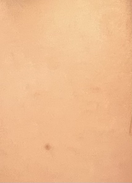 ピンクティーツリーカバークッション/APLIN/クッションファンデーションを使ったクチコミ（3枚目）