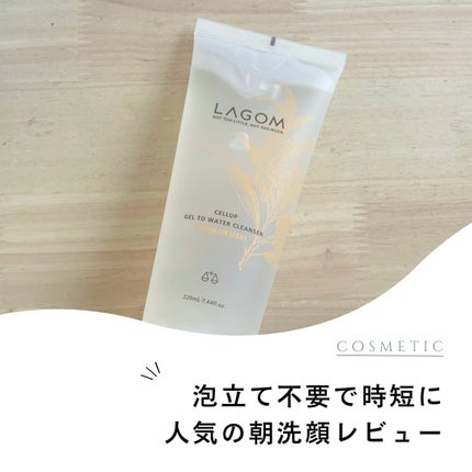 ジェルトゥウォーター クレンザー(KI)(朝洗顔料)/LAGOM /その他洗顔料を使ったクチコミ(1枚目)