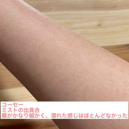 メイク キープ ミスト EX/コーセーコスメニエンス/フィックスミストを使ったクチコミ(8枚目)