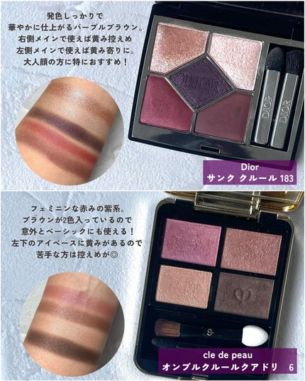 フェイスカラーパレット/チャコット・コスメティクス/アイシャドウパレットを使ったクチコミ(3枚目)