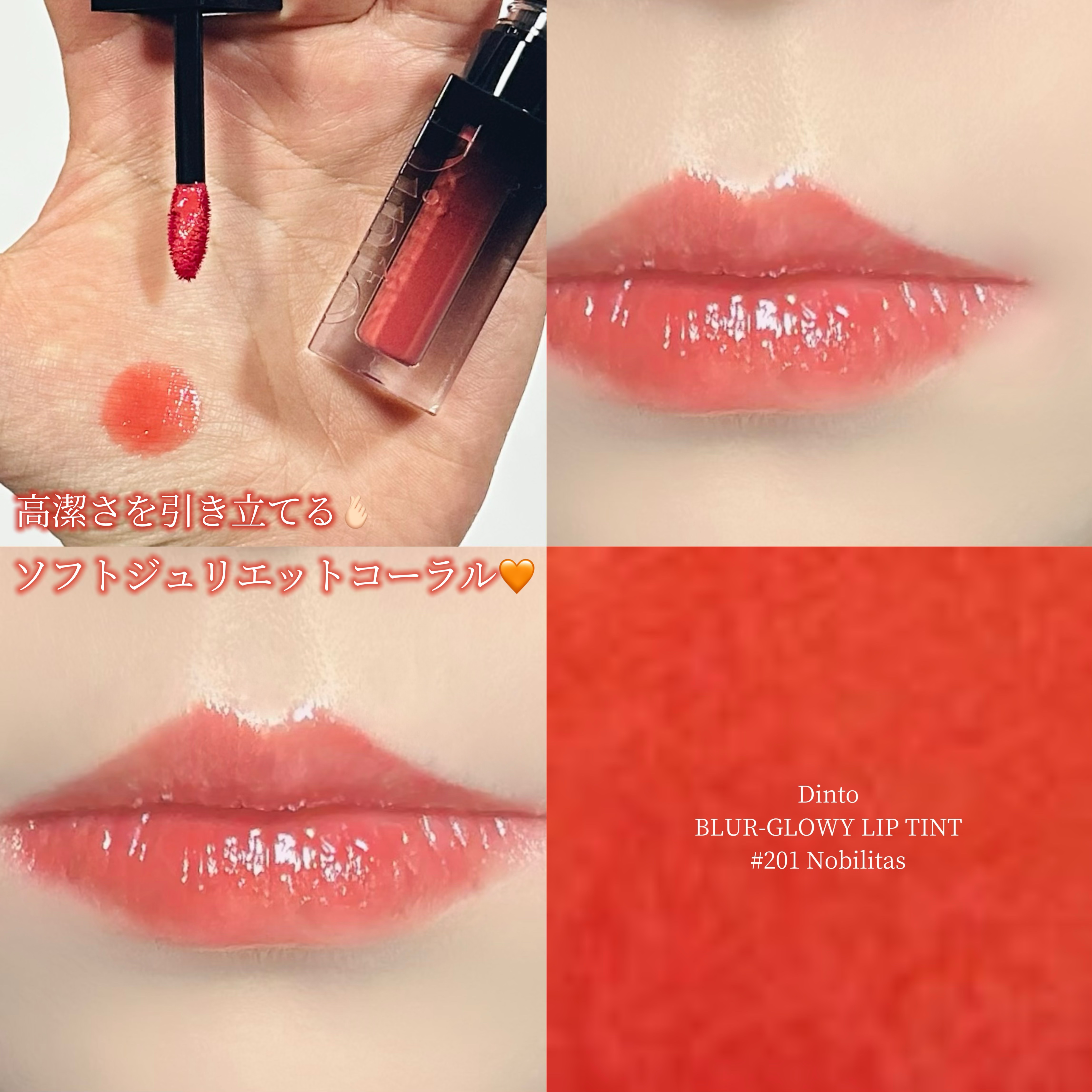 ブラーグロイリップティント 201 ノビリタス/Dinto/リップティントを使ったクチコミ（1枚目）