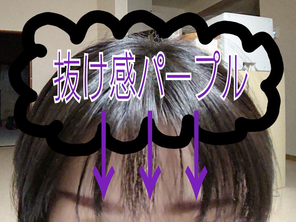 ヴィセ リシェ アイブロウパウダー BR-4 ニュアンスパープル(限定)/Visée/パウダーアイブロウを使ったクチコミ（3枚目）