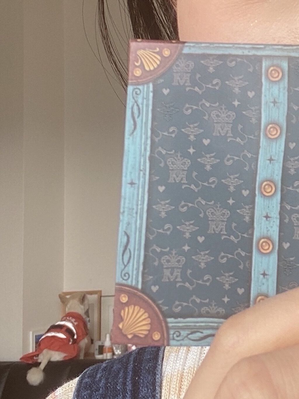 ナイストゥミーチュートランク/MAJOLICA MAJORCA/アイシャドウパレットを使ったクチコミ（3枚目）