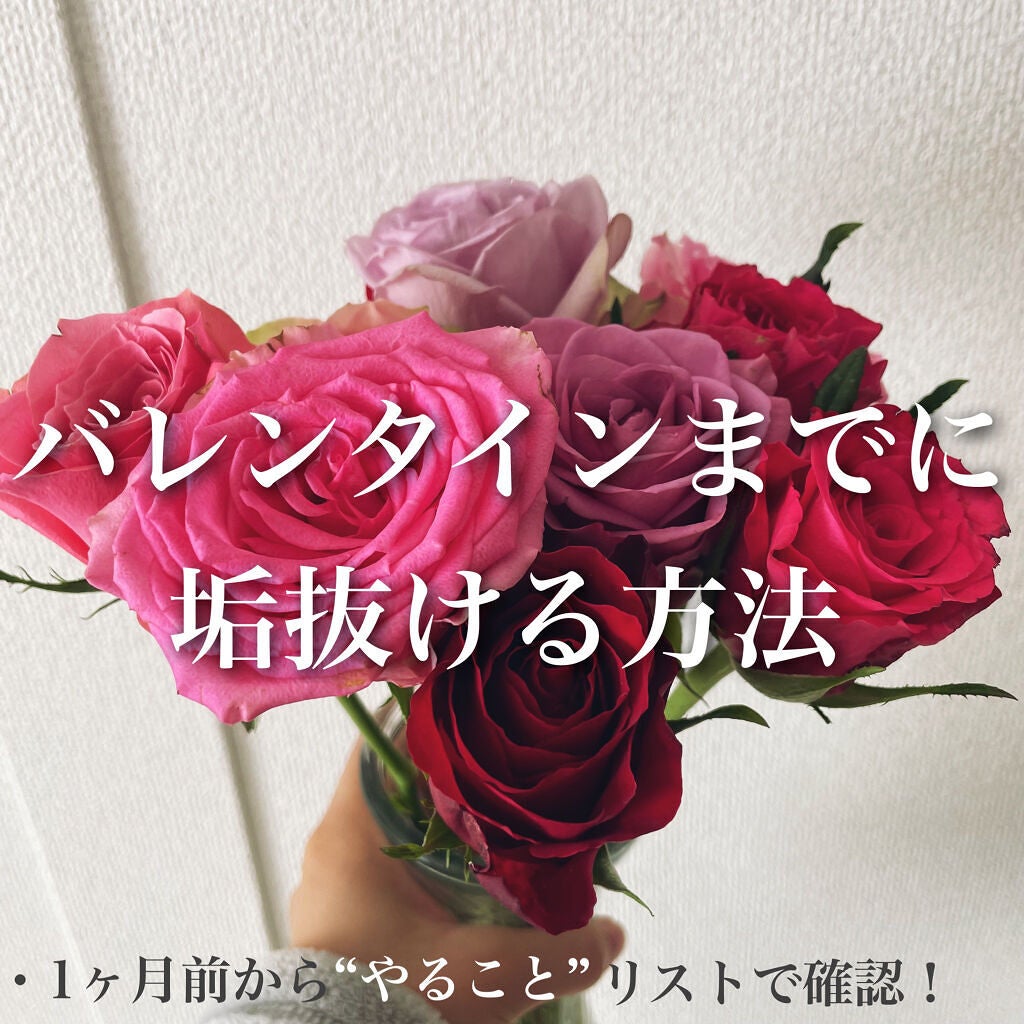 bi-hada ompa L ホルダー替刃2個付/貝印/シェーバーを使ったクチコミ(1枚目)