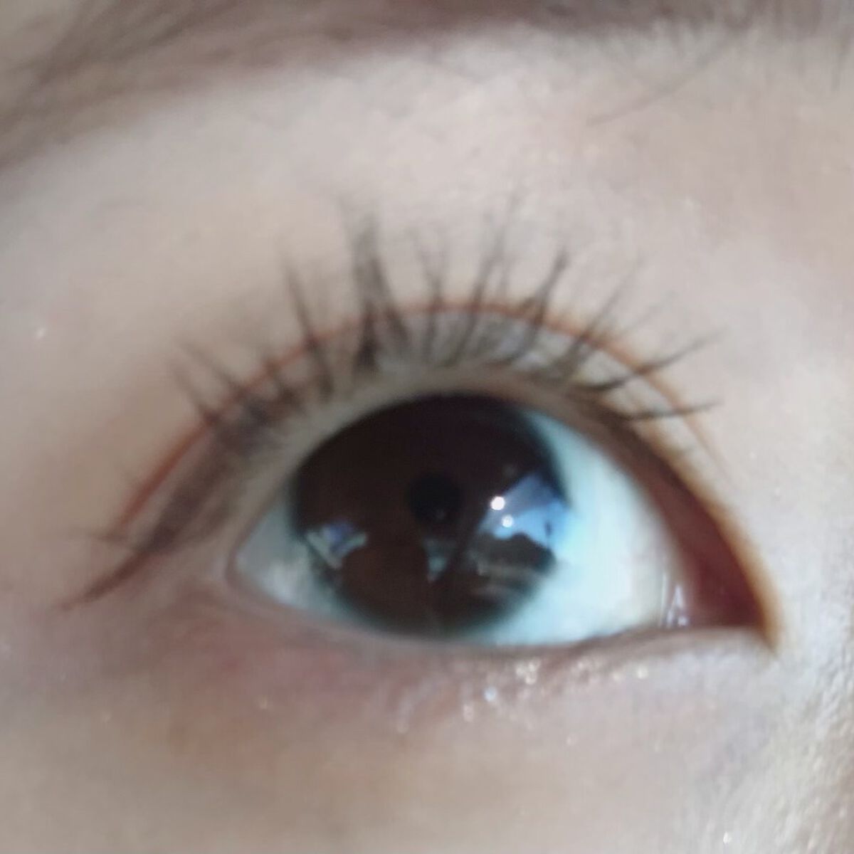 「塗るつけまつげ」ロングタイプ/デジャヴュ/マスカラを使ったクチコミ（2枚目）