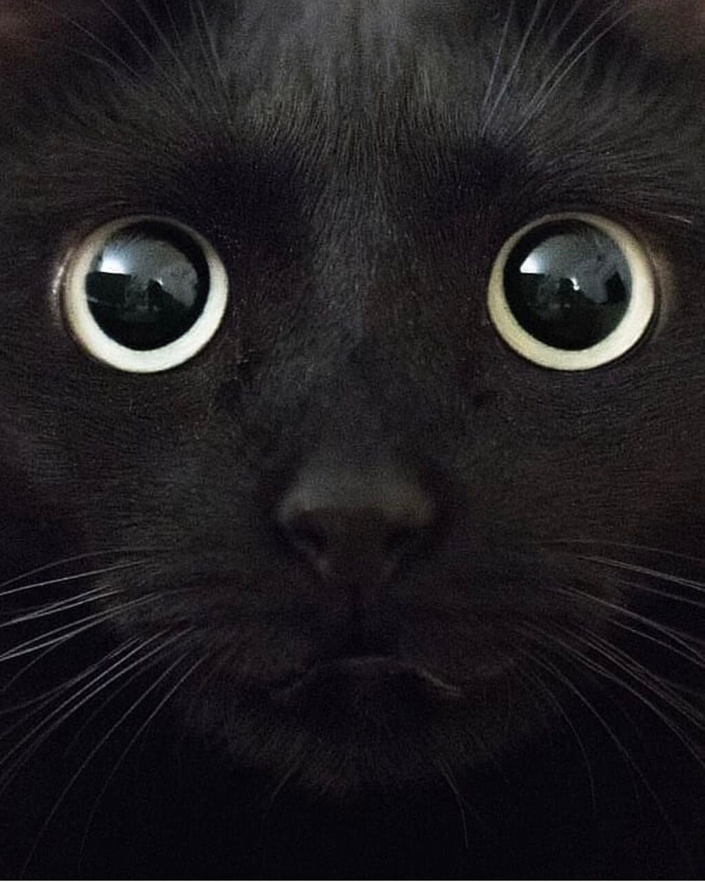 ððððð on LIPS ã..ãïŒ2æç®ïŒ