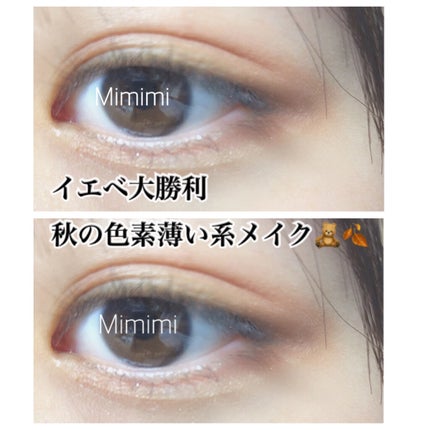 プレイカラーアイシャドウ メープルロード/ETUDE/アイシャドウパレットを使ったクチコミ(1枚目)