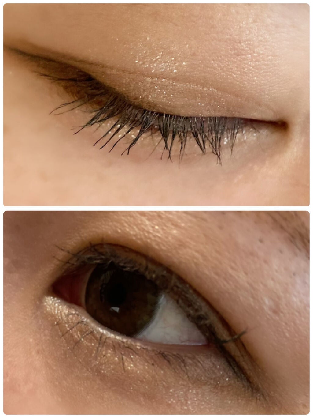 ベージュトーンアイシャドウ/CEZANNE/アイシャドウパレットを使ったクチコミ(2枚目)