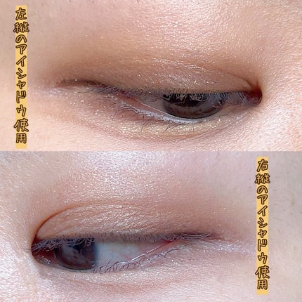 柴犬コスメ🐶 on LIPS 「*⑅︎୨୧ミルフィー様(@millefee_official)..」(10枚目)