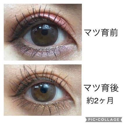 エグータム/アルマダスタイル/まつげ美容液を使ったクチコミ(5枚目)