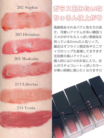 ブラーグロイリップティント|Dintoの口コミ - 仕上がりの美しさ ブラーグロイリップティント|Dintoの口コミ - 仕上がりの美しさ