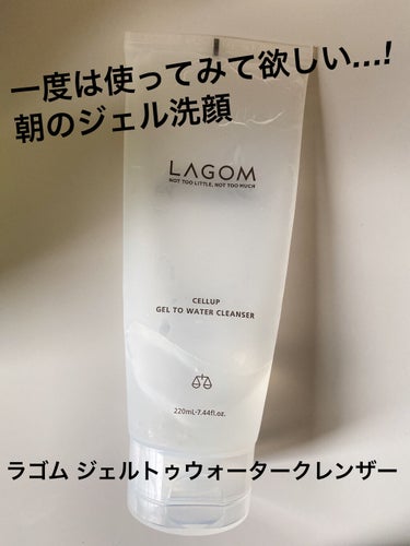 ラゴム ジェルトゥウォーター クレンザー(朝用洗顔)/LAGOM /洗顔フォームを使ったクチコミ（1枚目）