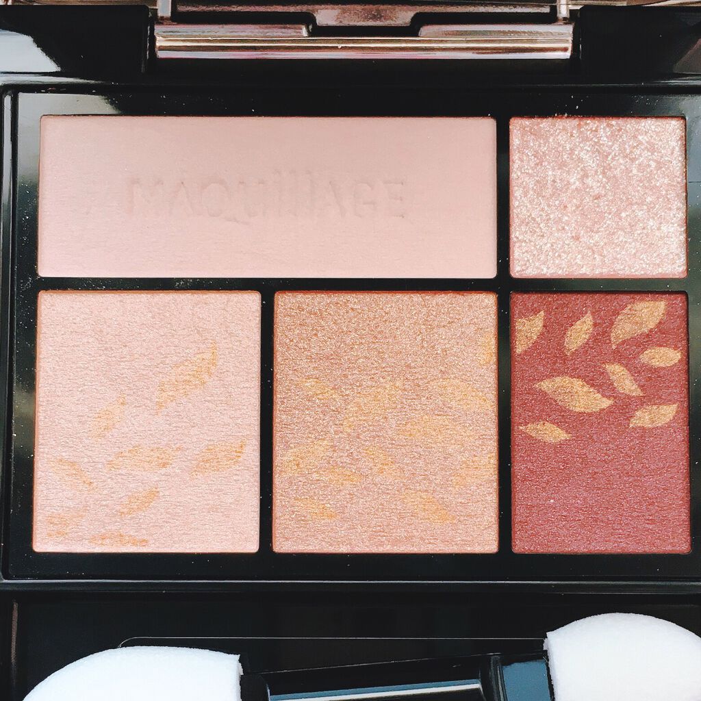 ドラマティックスタイリングアイズ/マキアージュ/アイシャドウパレットを使ったクチコミ(2枚目)