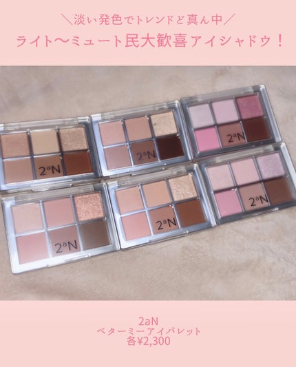ベターミーアイパレット/2aN/マルチパレットを使ったクチコミ(2枚目)