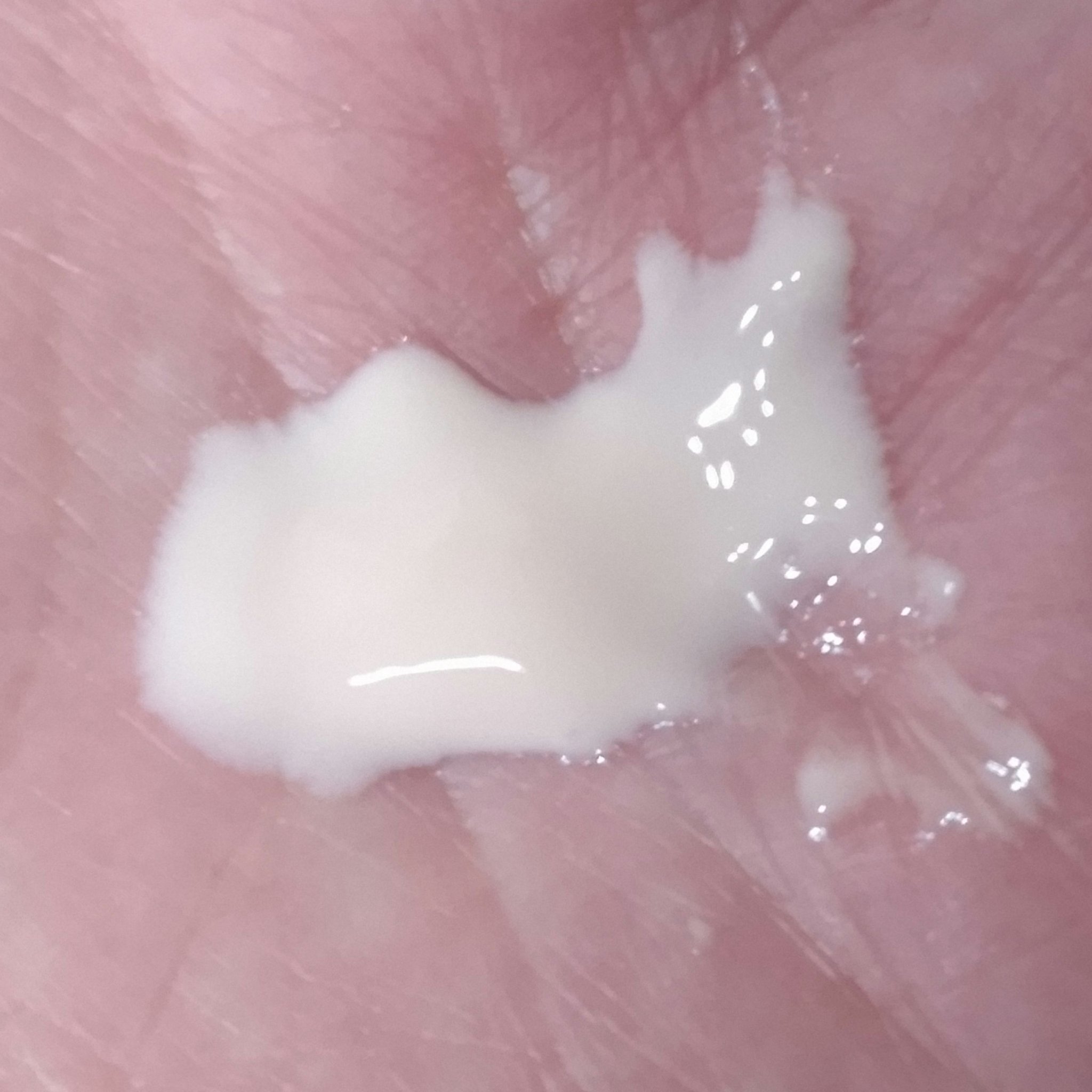 セラムラフェルミサンＳｎ/クレ・ド・ポー ボーテ/美容液を使ったクチコミ（3枚目）