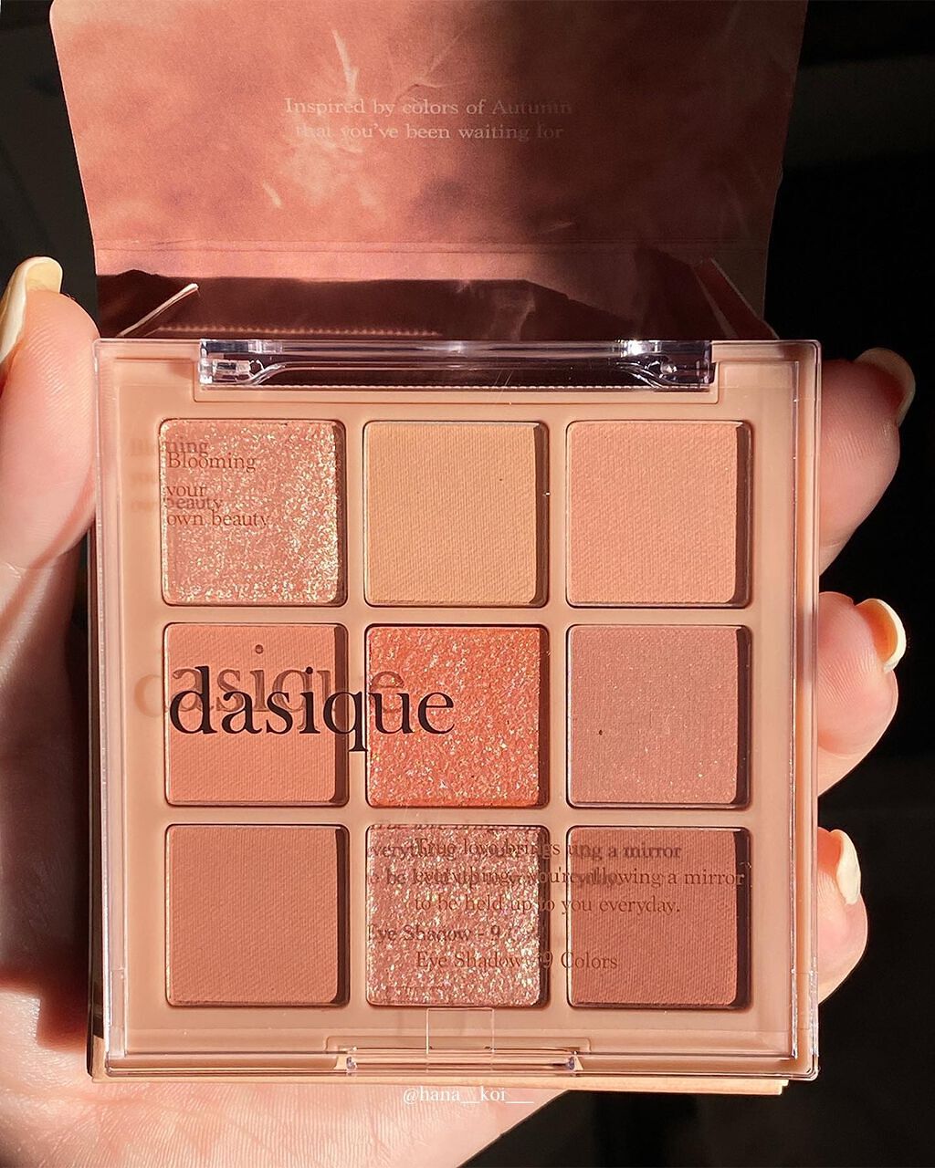 シャドウパレット/dasique/アイシャドウパレットを使ったクチコミ（2枚目）