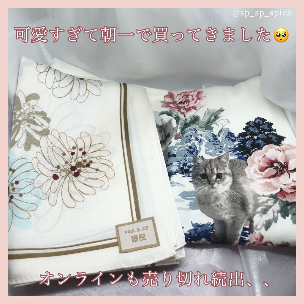 すぴか@弾き語り on LIPS 「.*・゚本日3月26日発売Paul&JOE×ユニクロコラボ.゚..」(2枚目)