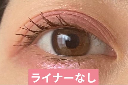 「密着アイライナー」ショート筆リキッド/デジャヴュ/リキッドアイライナーを使ったクチコミ(8枚目)