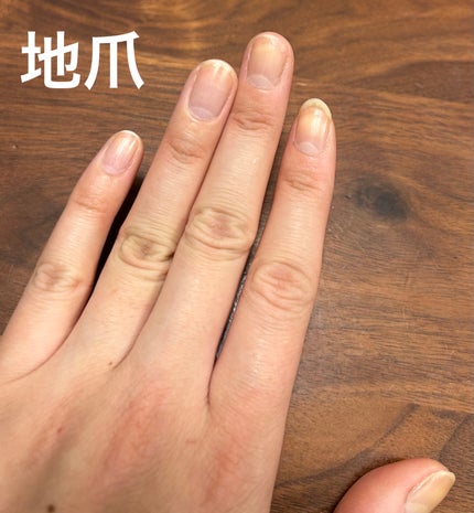 REVLON クイック ドライ ベース コート Nのクチコミ「愛用しているベースコートのご紹介です🐻
一度塗りでしっかり仕事してくれる優れもの👍🏻
ほんのり.....」(2枚目)